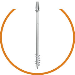 Korticale Basale Zygoma