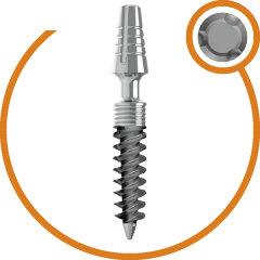 Korticale Spiral (SP)