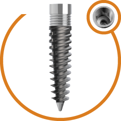 Korticale TPR Spiral (CC)